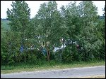Sat 29 May 2004 20:15:02 DSC03572.JPG 