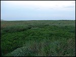 Sat 29 May 2004 20:20:26 DSC03579.JPG 