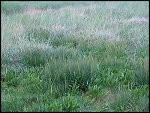 Sat 29 May 2004 20:20:58 DSC03580.JPG 