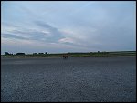 Sat 29 May 2004 20:26:08 DSC03586.JPG 