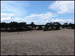 Sun 20 Jun 2004 14:29:08 DSC04657.JPG 