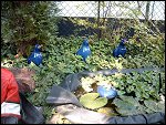 Sat 04 Sep 2004 13:27:08 SIMG1099.JPG 