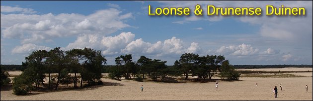 Loonse en Drunense Duinen / Vaderdagrit 2004