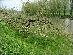Sun 24 Apr 2005 14:34:12 DSCF1878.JPG 