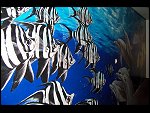Fri 06 May 2005 12:05:28 100_0048.JPG 