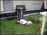 Sat 14 May 2005 14:19:30 IMG00029.JPG 