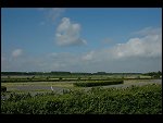 Sat 21 May 2005 08:59:56 DSC_0170.JPG 