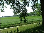 Sun 10 Jul 2005 11:07:46 DSCF2382.JPG 
