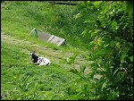 Sun 10 Jul 2005 15:37:58 DSCF2494.JPG 