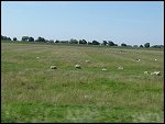 Sun 10 Jul 2005 09:43:14 DSC00007.JPG 