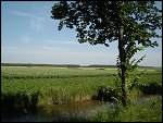 Sun 10 Jul 2005 09:50:10 DSC00012.JPG 