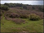 Sun 14 Aug 2005 10:38:16 POSBANK2.JPG 