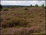 Sun 14 Aug 2005 10:37:58 POSBANK3.JPG 