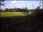 IMG_0013.JPG 
