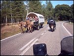 IMG_0025.JPG 