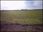 IMG_0029.JPG 