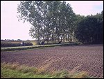 IMG_0036.JPG 