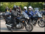 Sun 07 May 2006 09:43:54 D20_4488.JPG 