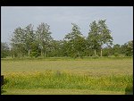 Sat 03 Jun 2006 16:45:54 D20_5478.JPG 