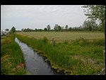 Sat 03 Jun 2006 16:53:56 D20_5484.JPG 