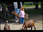 Sun 04 Jun 2006 12:40:34 D20_5576.JPG 