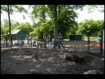 Sun 04 Jun 2006 12:48:18 D20_5588.JPG 