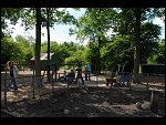 Sun 04 Jun 2006 12:48:26 D20_5589.JPG 
