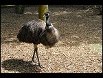 Sun 04 Jun 2006 12:50:48 D20_5593.JPG 