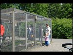 Sun 04 Jun 2006 12:52:36 D20_5595.JPG 