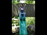 Sun 04 Jun 2006 13:12:24 D20_5629.JPG 