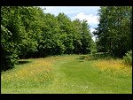 Sun 04 Jun 2006 13:16:24 D20_5635.JPG 