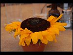 Sun 16 Jul 2006 12:25:20 D20_7068.JPG 