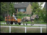 Sun 20 Aug 2006 09:36:28 D20_8170.JPG 