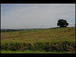Fri 01 Sep 2006 11:39:34 D20_8596.JPG 