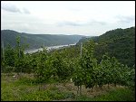 Sat 02 Sep 2006 16:03:52 DSC00454.JPG 