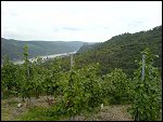 Sat 02 Sep 2006 16:04:06 DSC00455.JPG 