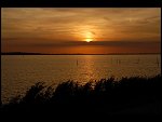 Sun 08 Oct 2006 17:42:20 D20_0951.JPG 