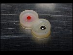 Tue 03 Apr 2007 18:04:06 D20_5927.JPG 