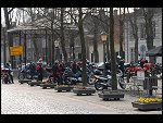 Mon 09 Apr 2007 13:02:02 D20_7350.JPG 