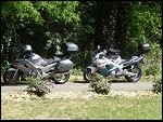 Sun 06 May 2007 11:11:38 DSC03233.JPG 