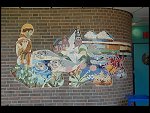 Fri 18 May 2007 12:25:24 D20_9189.JPG 
