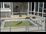 Fri 18 May 2007 12:32:34 D20_9205.JPG 