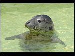 Fri 18 May 2007 12:41:22 D20_9236.JPG 