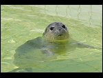 Fri 18 May 2007 12:41:28 D20_9238.JPG 
