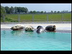 Fri 18 May 2007 12:50:56 D20_9252.JPG 