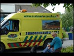 Fri 18 May 2007 13:04:26 D20_9253.JPG 