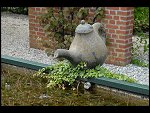 Fri 18 May 2007 14:52:38 D20_9264.JPG 