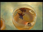 Fri 18 May 2007 15:46:00 D20_9292.JPG 