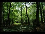 Sat 19 May 2007 13:02:48 D20_9332.JPG 