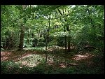 Sat 19 May 2007 13:03:14 D20_9333.JPG 
